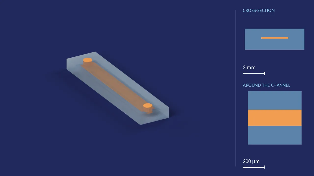 150 × 2500 µm — single channel (Fluidic 268). A computer render of the design, not a photograph: its body drawn see-through, its channels in orange. The chip is 24.5 mm × 5.5 mm × 1.95 mm. Beside it, its cross-section across the middle, and a 500 µm window around the channel, which is 2.5 mm wide and 150 µm deep there.