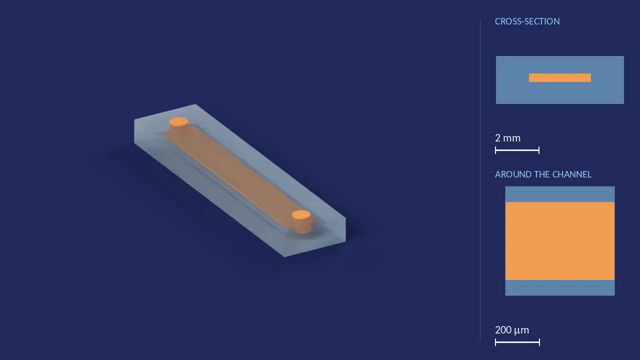350 × 2775 µm — straight channel (Fluidic 560). A computer render of the design, not a photograph: its body drawn see-through, its channels in orange. The chip is 24.5 mm × 5.78 mm × 2.15 mm. Beside it, its cross-section across the middle, and a 500 µm window around the channel, which is 2.77 mm wide and 350 µm deep there.