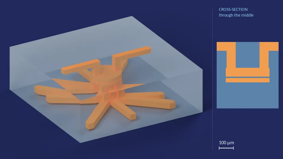 CH1_40px_7out_0. A computer render of the cell's channels, in orange, inside its footprint of 1.37 mm × 1.37 mm (from its LEF), drawn see-through; not a photograph. Beside it, its cross-section through the middle.
