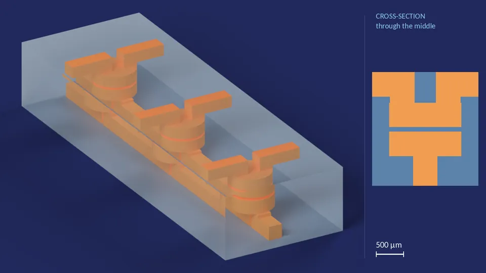pump_60px_centerfed_22um_0. A computer render of the cell's channels, in orange, inside its footprint of 11.9 mm × 3.96 mm (from its LEF), drawn see-through; not a photograph. Beside it, its cross-section through the middle.